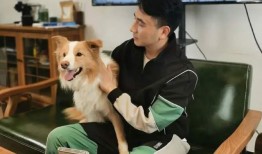 林生斌最新爆料女儿,悲痛背后隐藏惊人内幕